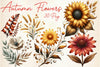 Autumn Flowers And Wildflowers Clipart Bundle