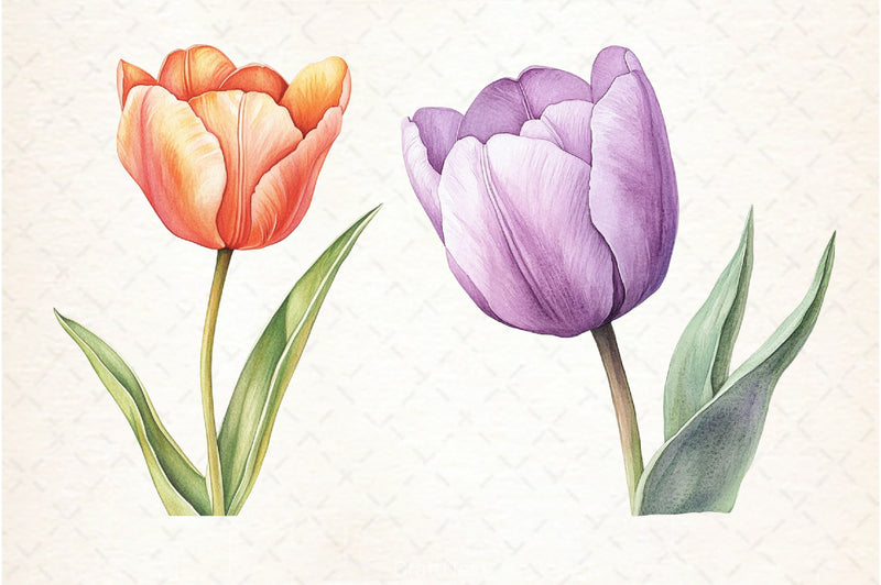 Tulip Flower Clipart Bundle 5 - CraftNest - Digital Crafting and Art
