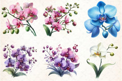 Orchid Clipart Bundle 4 - CraftNest - Digital Crafting and Art