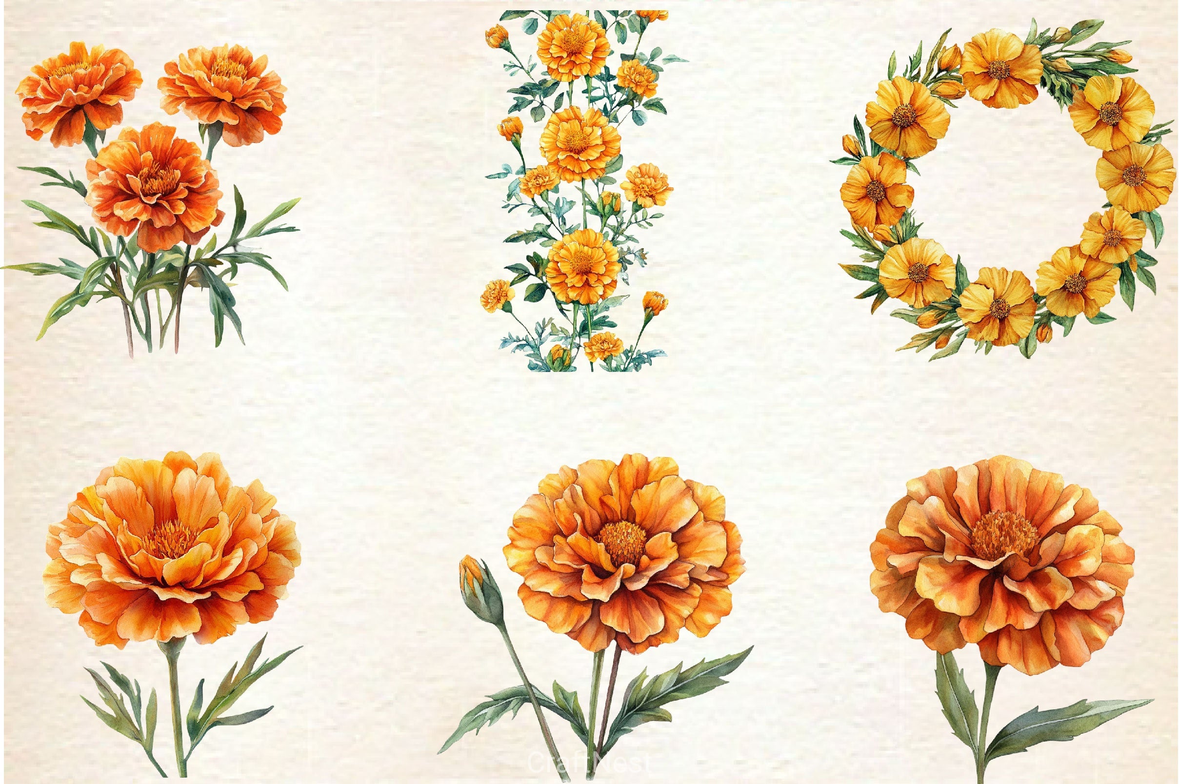 Marigold Clipart Bundle 3 - CraftNest - Digital Crafting and Art
