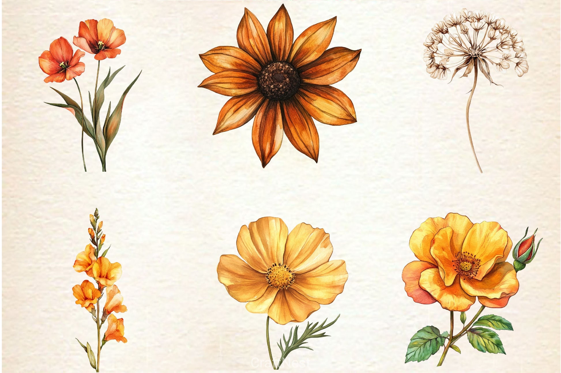 Autumn Wildflowers Clipart Bundle 2 - CraftNest - Digital Crafting and Art