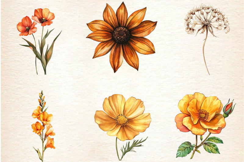 Autumn Wildflowers Clipart Bundle 2 - CraftNest - Digital Crafting and Art