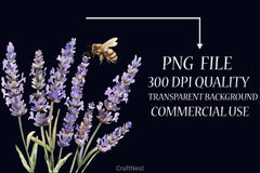 Honey Bee Clipart Bundle 21 - CraftNest - Digital Crafting and Art