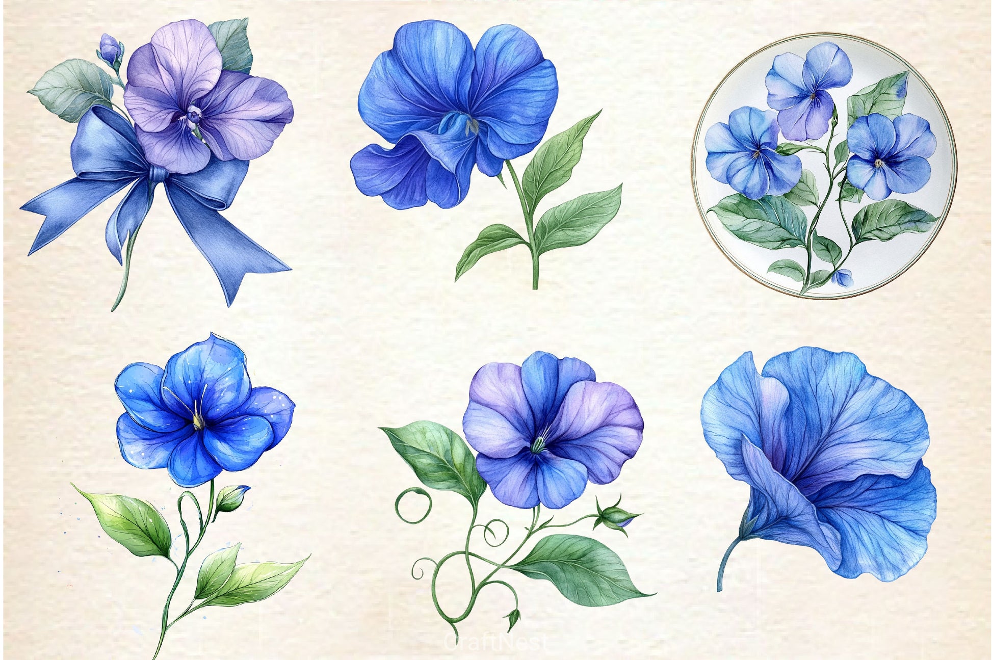 Butterfly Pea Flower Clipart Bundle - CraftNest - Digital Crafting and Art