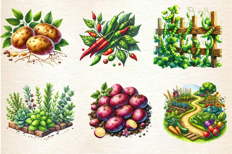 Garden Patch Clipart Bundle - CraftNest - Digital Crafting and Art