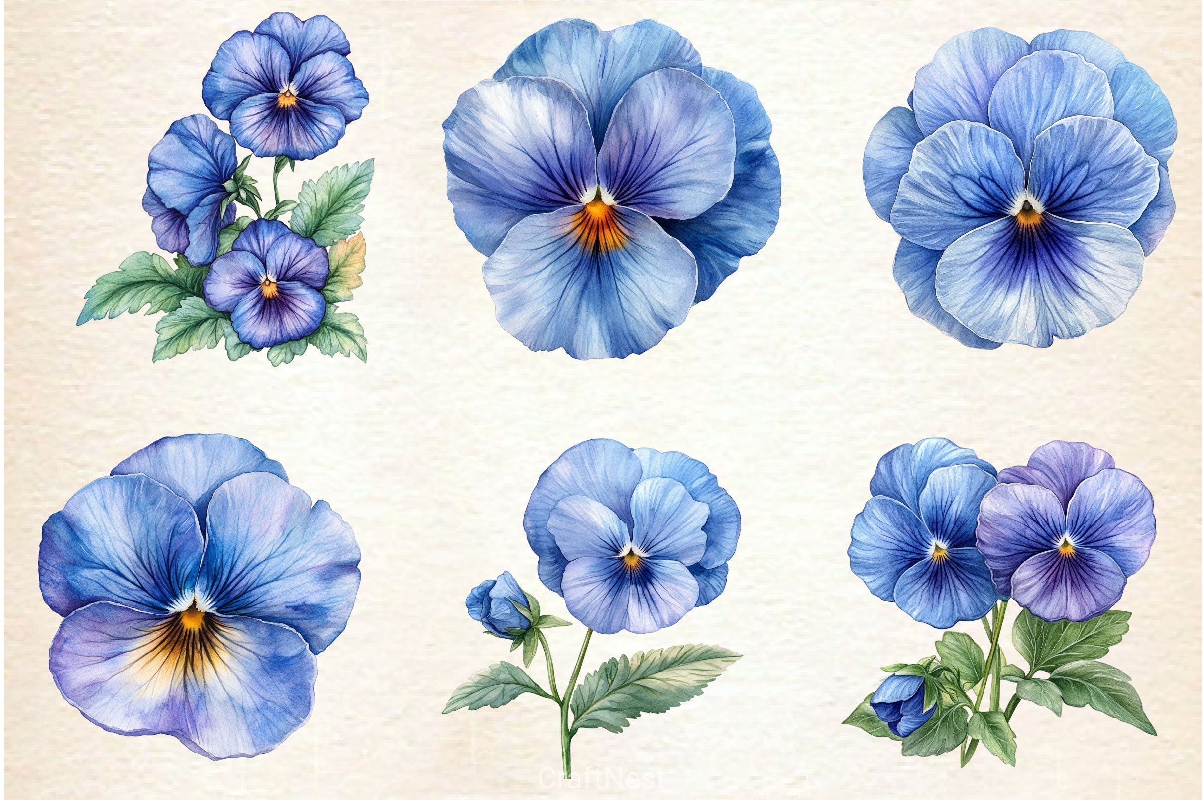 Blue Pansy Flower Clipart Bundle - CraftNest - Digital Crafting and Art