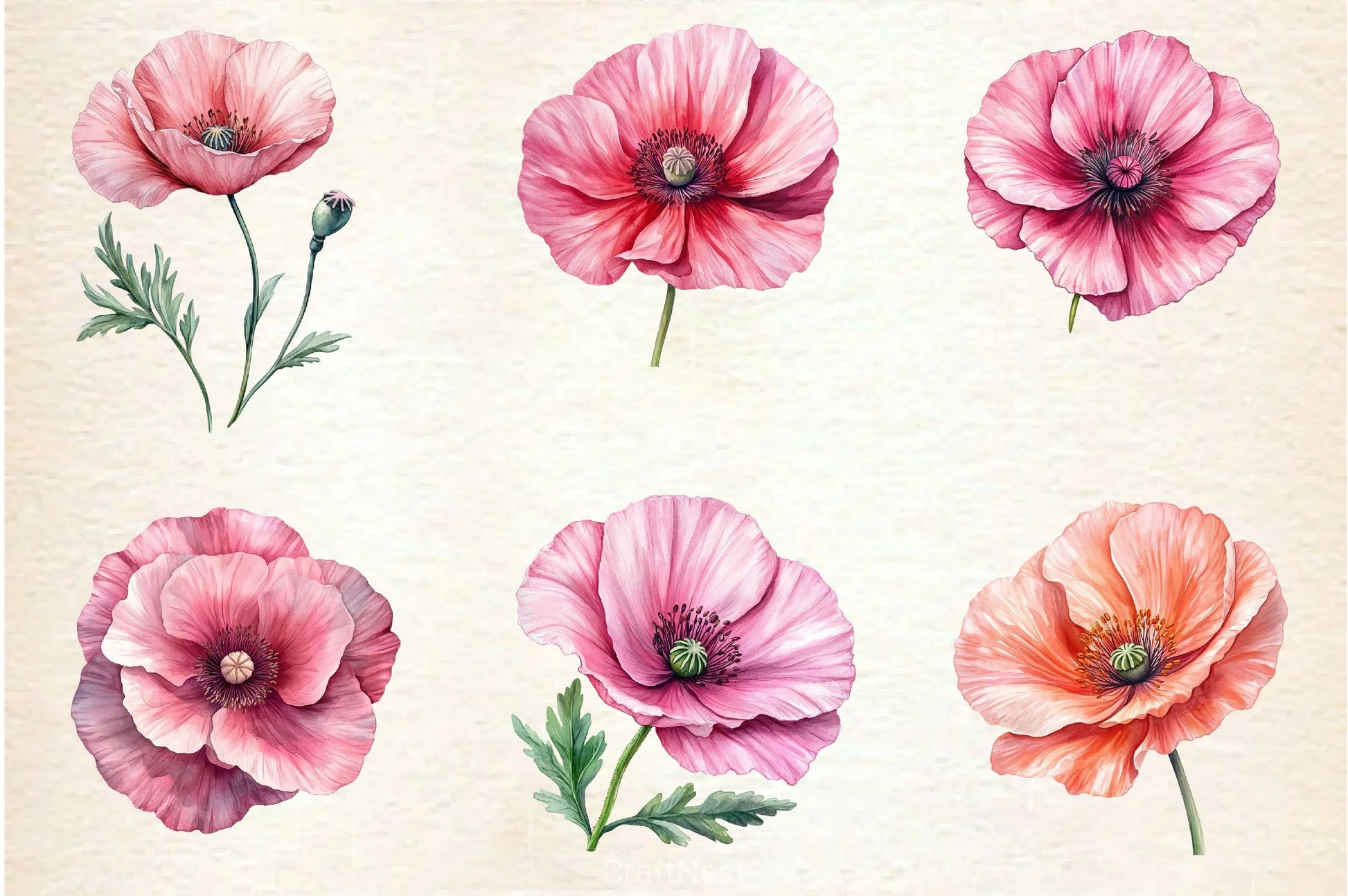 Spring Poppies Clipart Bundle - CraftNest - Digital Crafting and Art