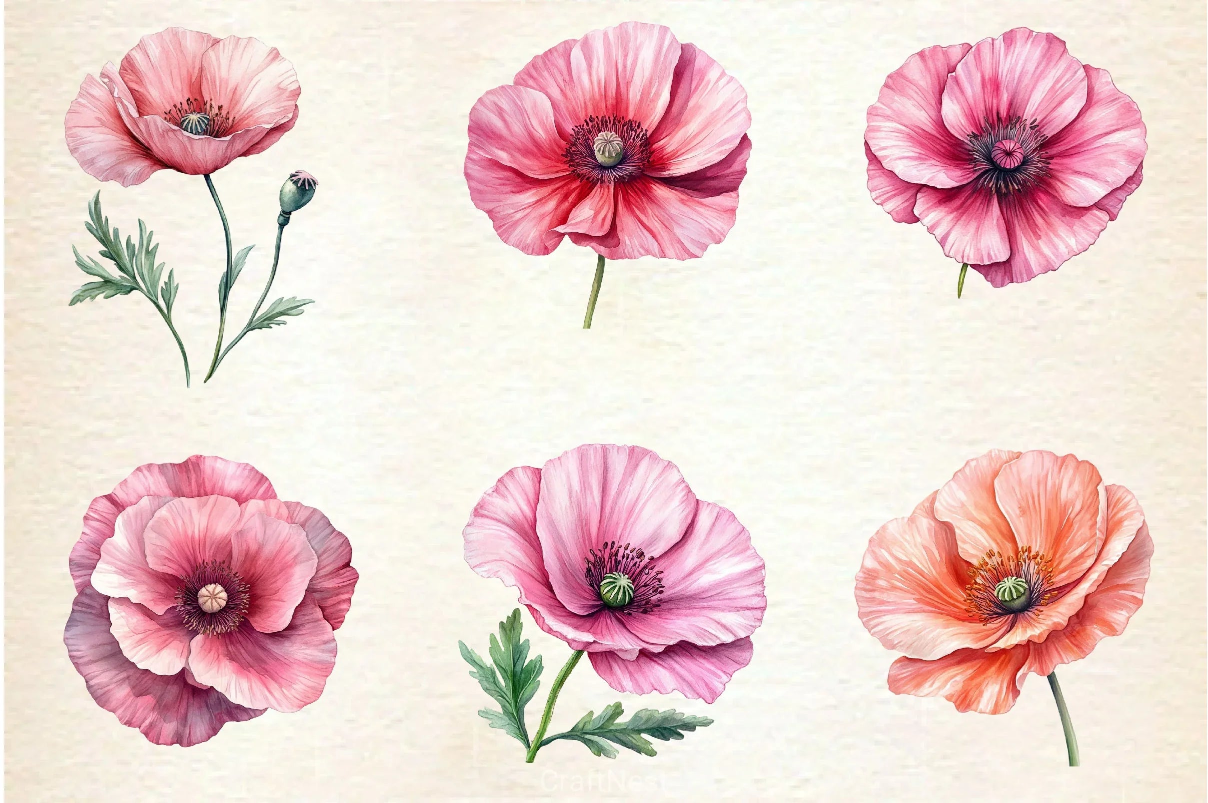 Spring Poppies Clipart Bundle - CraftNest - Digital Crafting and Art