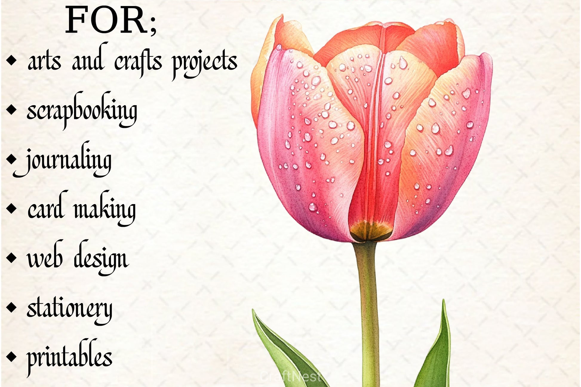 Tulip Flower Clipart Bundle - CraftNest - Digital Crafting and Art