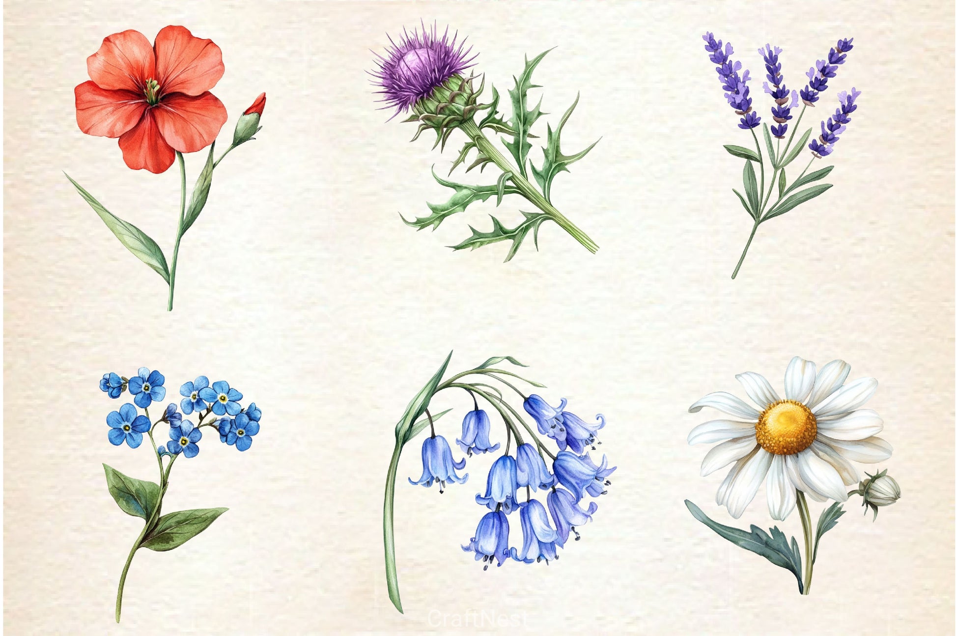 Wildflowers Clipart Bundle 3 - CraftNest - Digital Crafting and Art