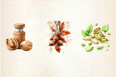 Nuts Clipart Bundle 2 - CraftNest - Digital Crafting and Art