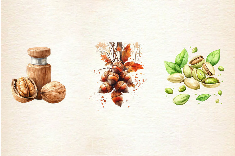 Nuts Clipart Bundle 2 - CraftNest - Digital Crafting and Art