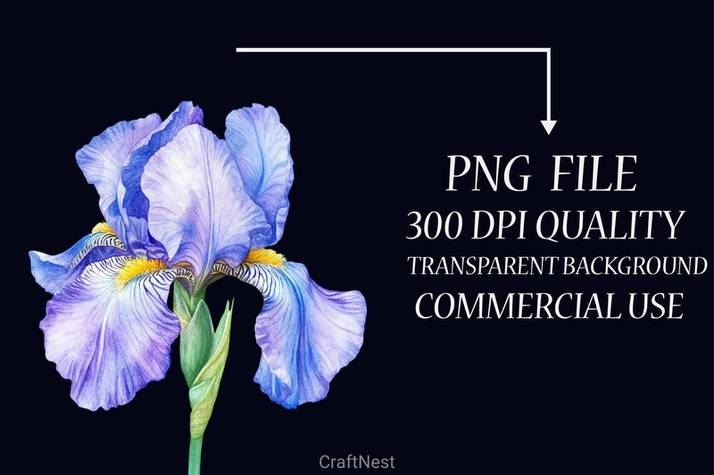 Iris Flower Clipart Bundle - CraftNest - Digital Crafting and Art