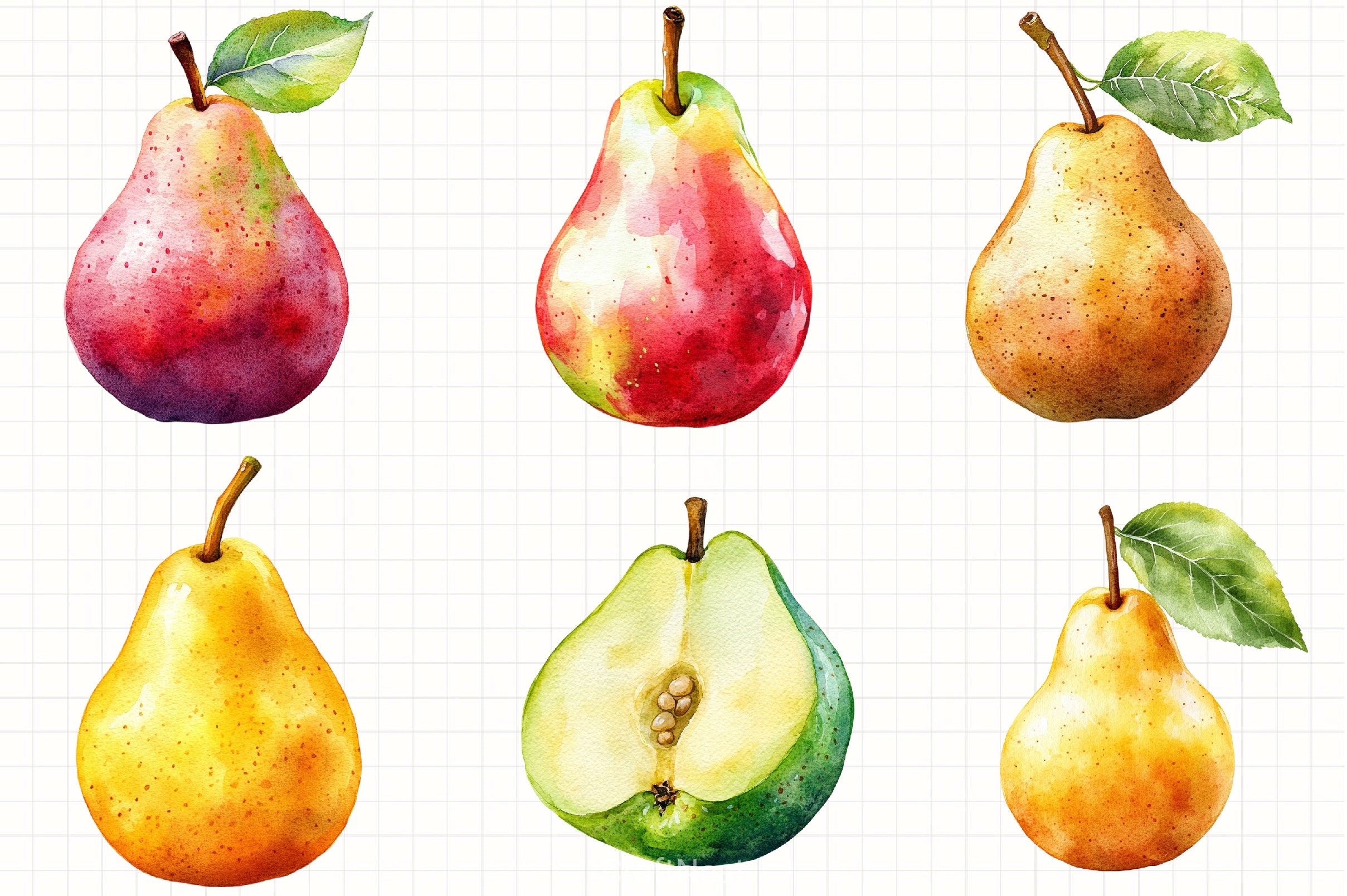 Pear Clipart Bundle - CraftNest - Digital Crafting and Art