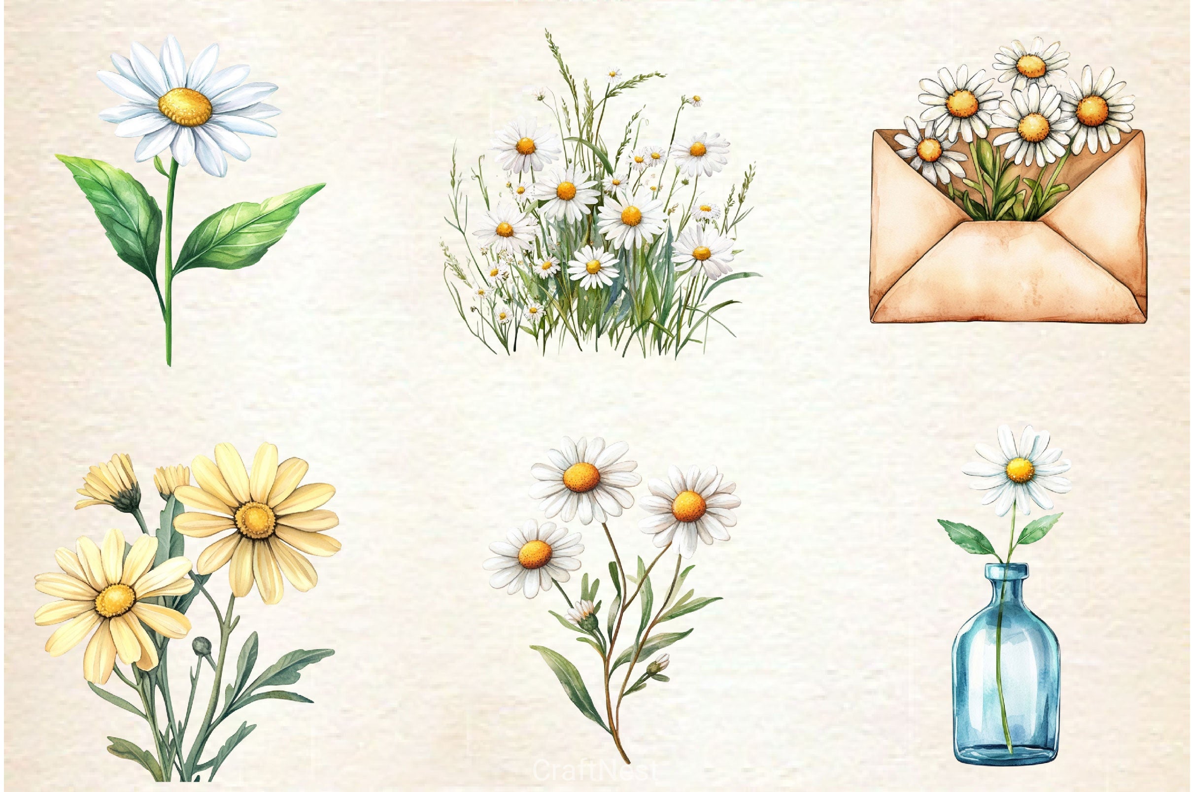 Daisies Flowers Clipart Bundle - CraftNest - Digital Crafting and Art
