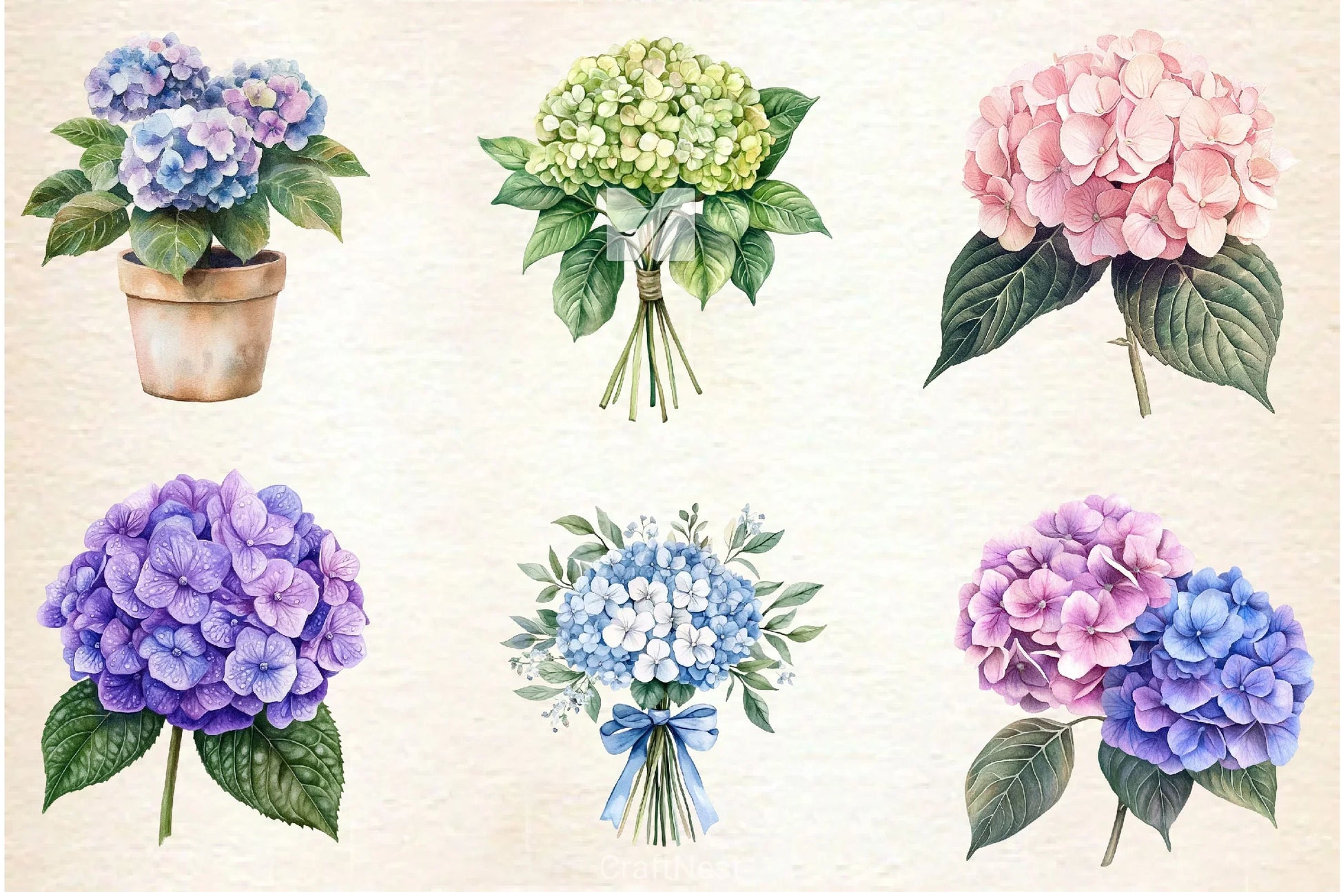 Hydrangea Clipart Bundle 2 - CraftNest - Digital Crafting and Art