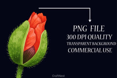 Poppies Clipart Bundle 1 - CraftNest - Digital Crafting and Art