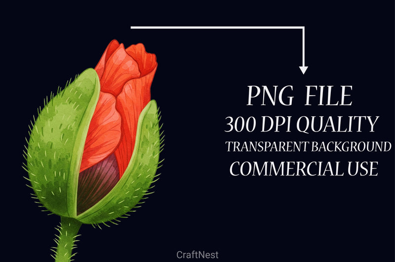 Poppies Clipart Bundle 1 - CraftNest - Digital Crafting and Art