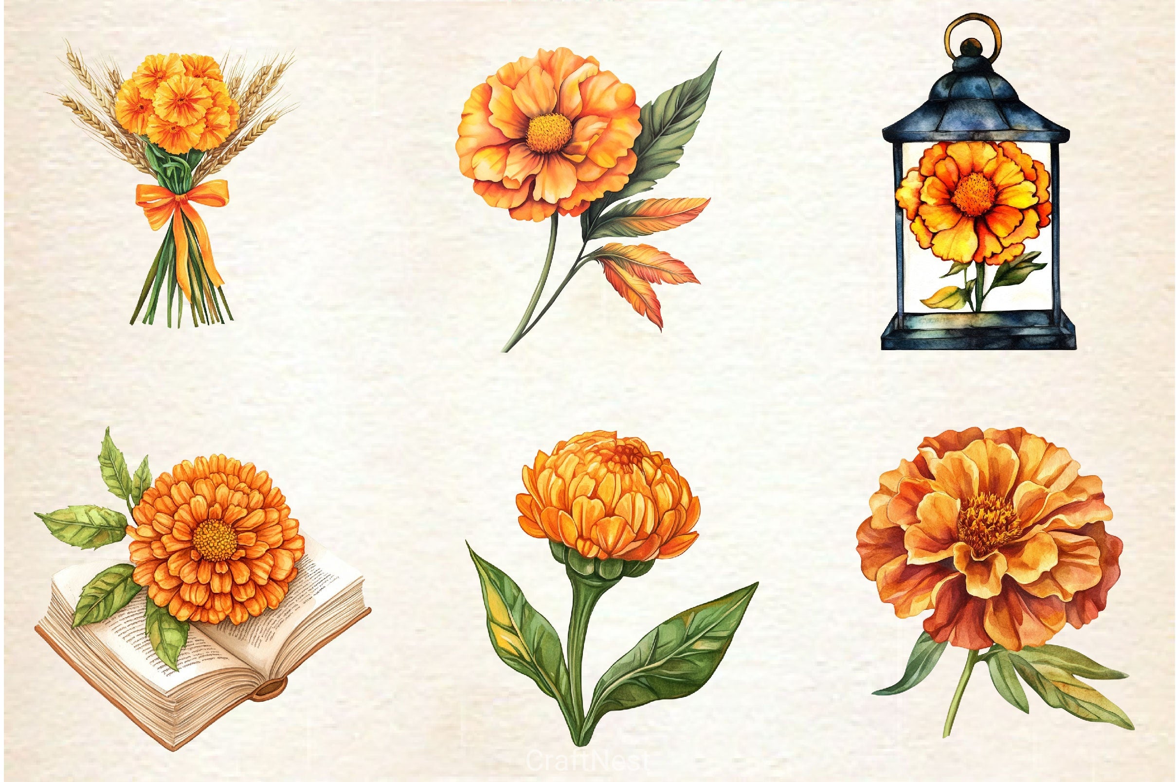 Fall Marigold Clipart Bundle 2 - CraftNest - Digital Crafting and Art