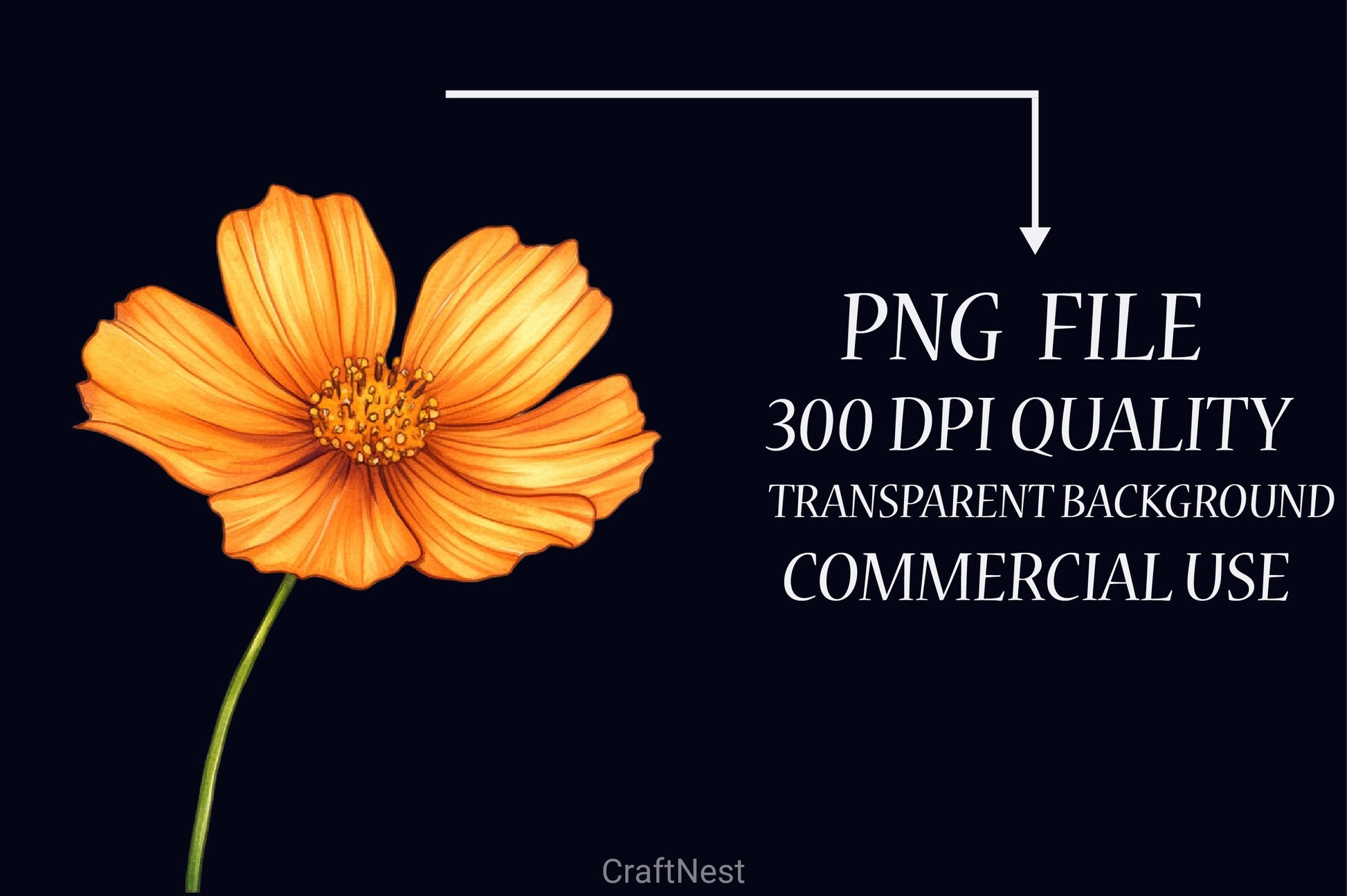 Fall Flowers Clipart Bundle 4 - CraftNest - Digital Crafting and Art