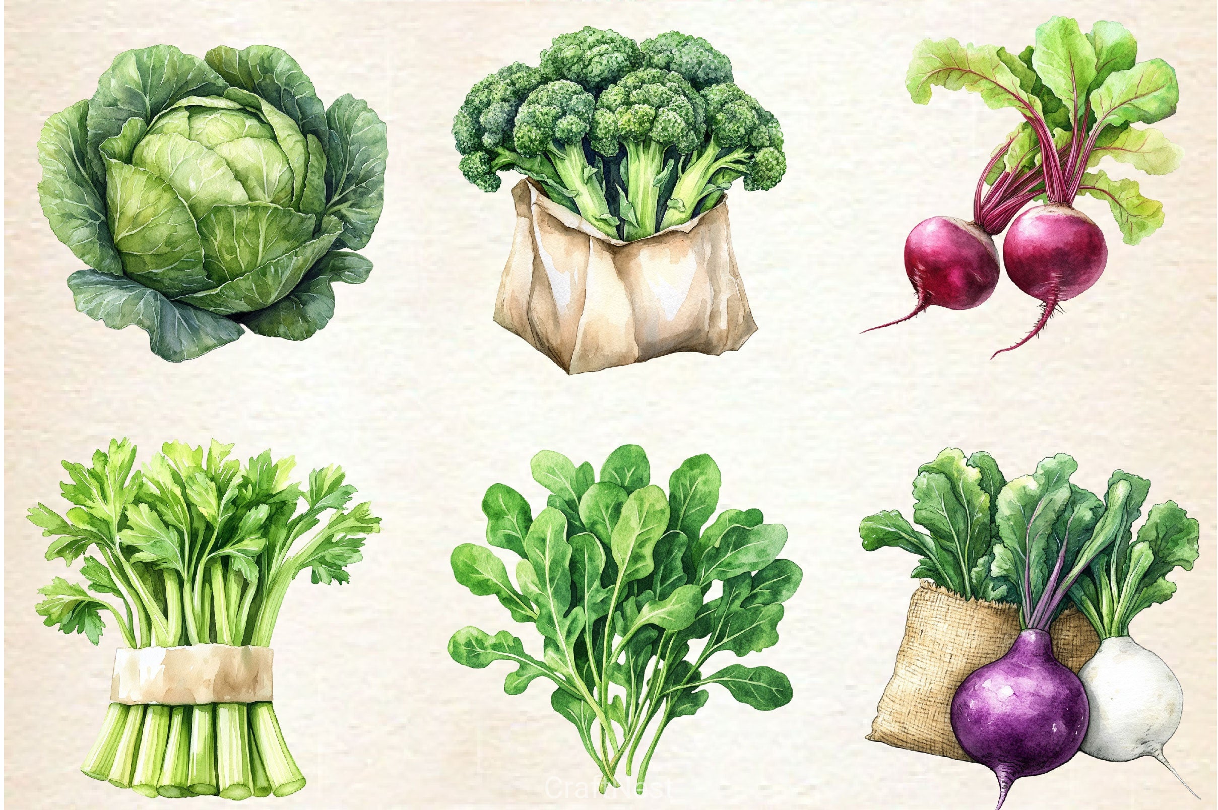 Vegetable Seeds Packet Clipart Bundle - CraftNest - Digital Crafting and Art