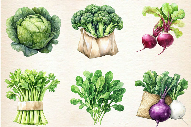 Vegetable Seeds Packet Clipart Bundle - CraftNest - Digital Crafting and Art