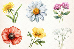 Wild Flower Clipart Bundle - CraftNest - Digital Crafting and Art