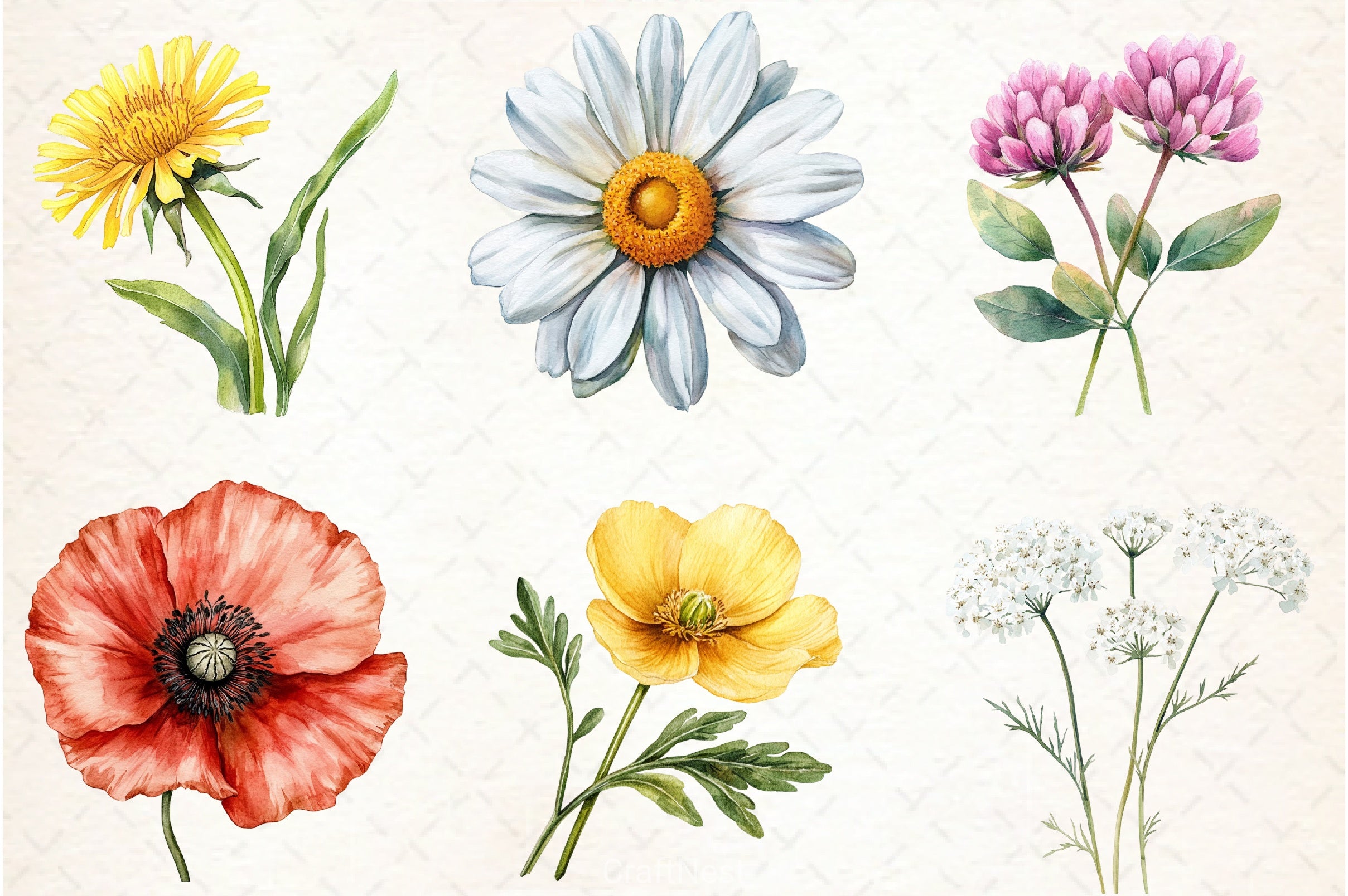 Wild Flower Clipart Bundle - CraftNest - Digital Crafting and Art