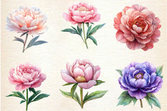 Pink & Purple Peony Flowers Clipart Bundle - CraftNest - Digital Crafting and Art