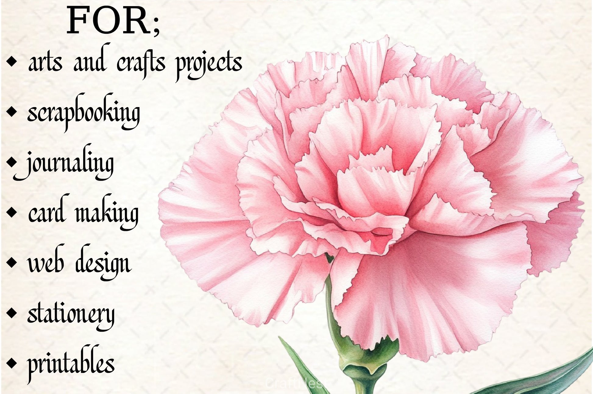 Carnation Flower Clipart Bundle - CraftNest - Digital Crafting and Art