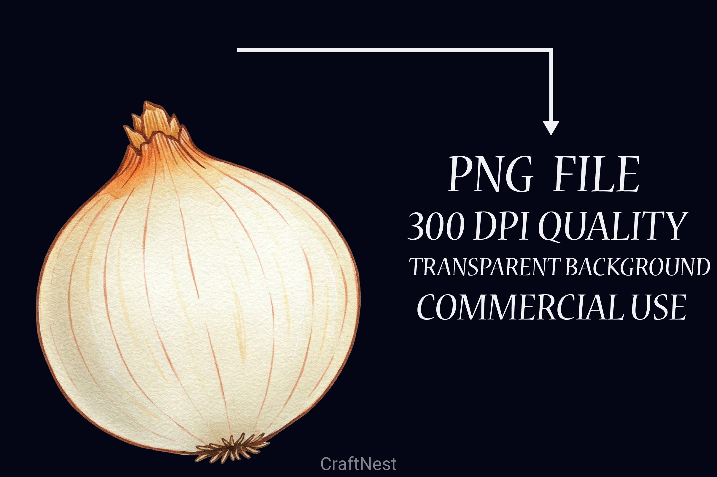 Onion Clipart Bundle 1 - CraftNest - Digital Crafting and Art