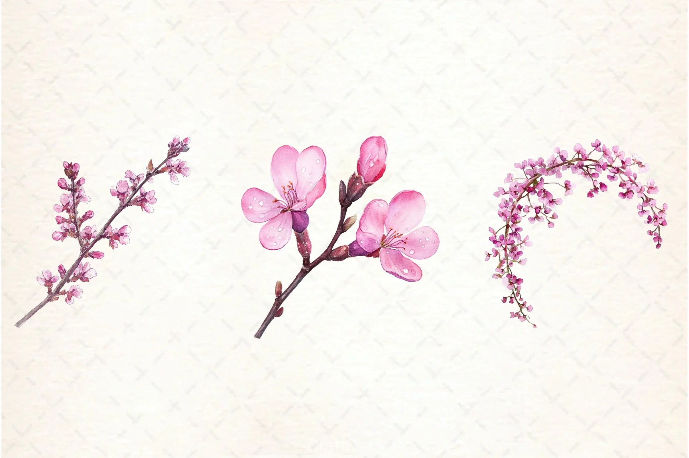 Spring Redbud Flower Clipart Bundle 3 - CraftNest - Digital Crafting and Art