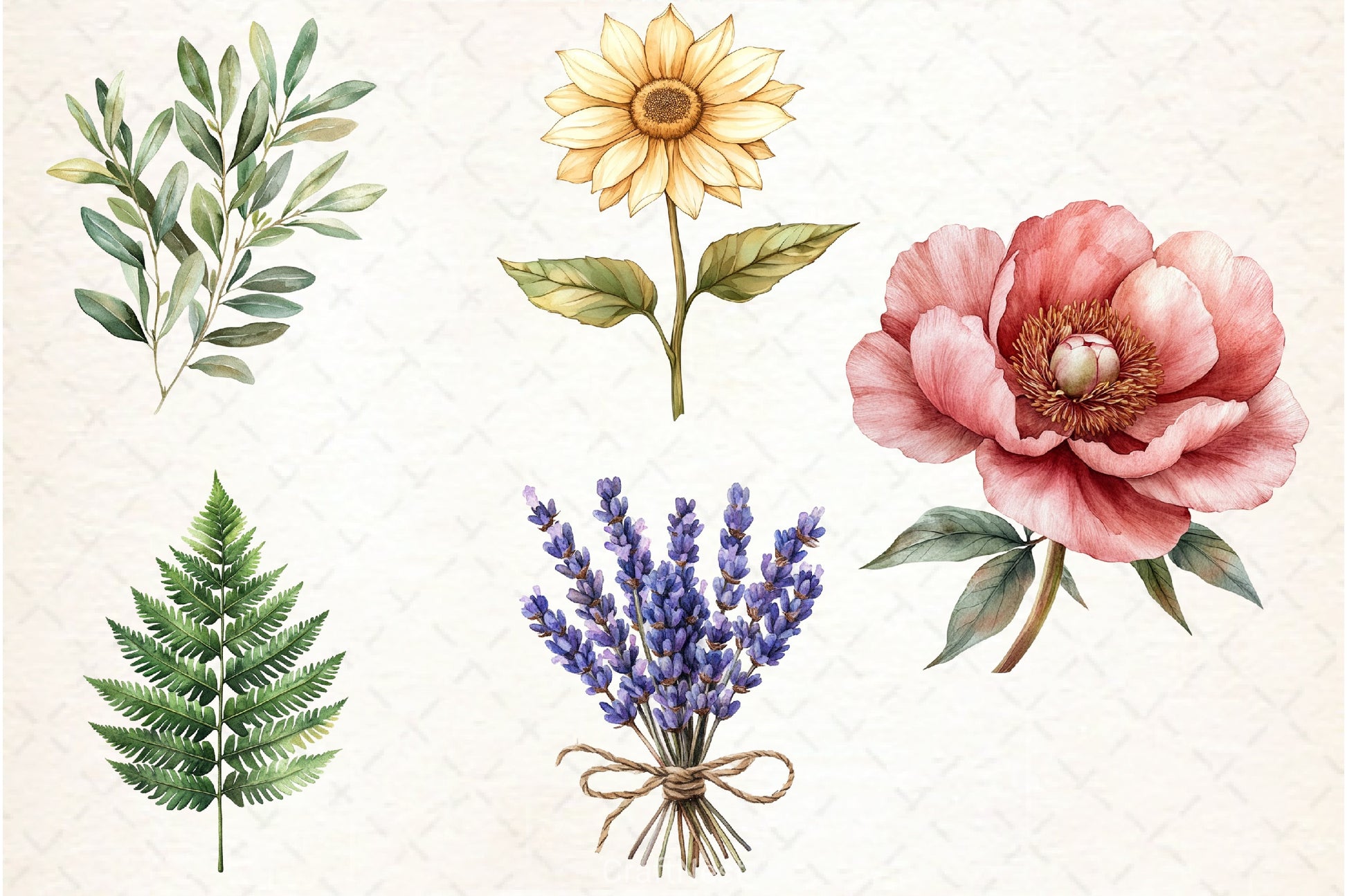 Vintage Botanical Clipart Bundle 3 - CraftNest - Digital Crafting and Art