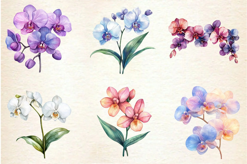 Orchid Clipart Bundle 2 - CraftNest - Digital Crafting and Art
