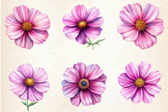 Pink Cosmos Flower Clipart Bundle - CraftNest - Digital Crafting and Art