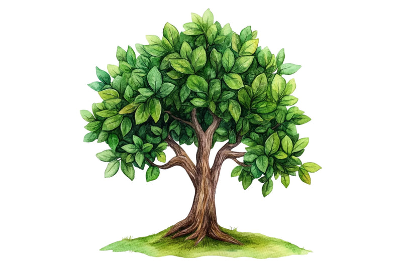 Sacred Tree of Life Clipart Bundle - CraftNest - Digital Crafting and Art