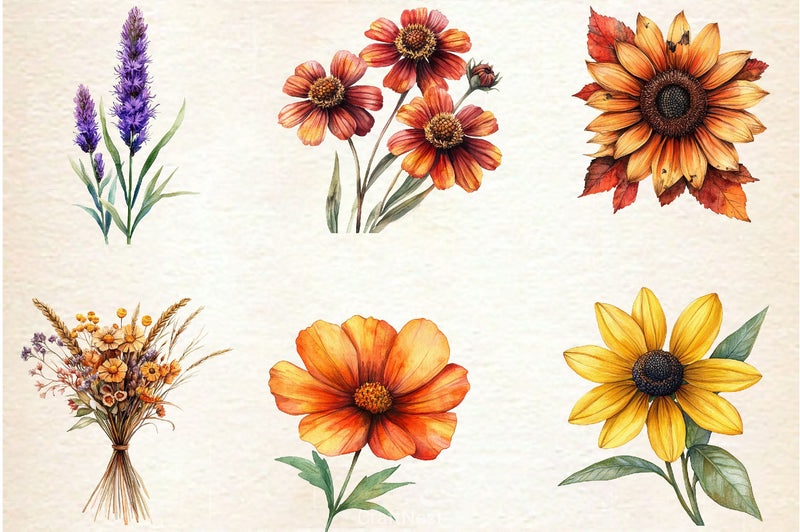 Autumn Wildflowers Clipart Bundle 9 - CraftNest - Digital Crafting and Art