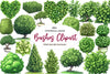 Bushes Clipart Bundle