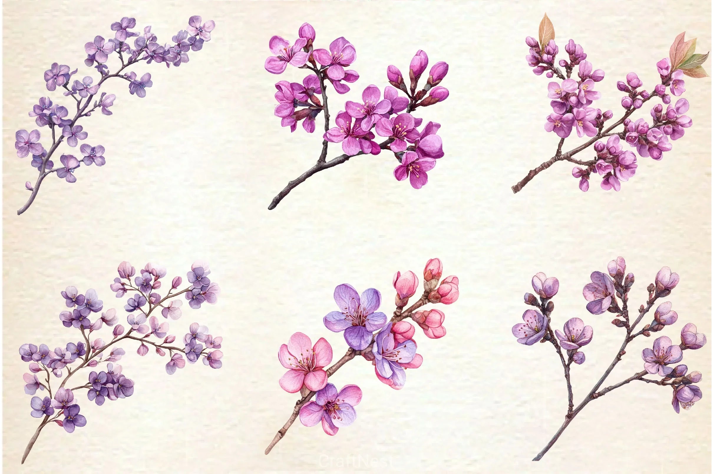 Spring Redbud Flower Clipart Bundle 2 - CraftNest - Digital Crafting and Art