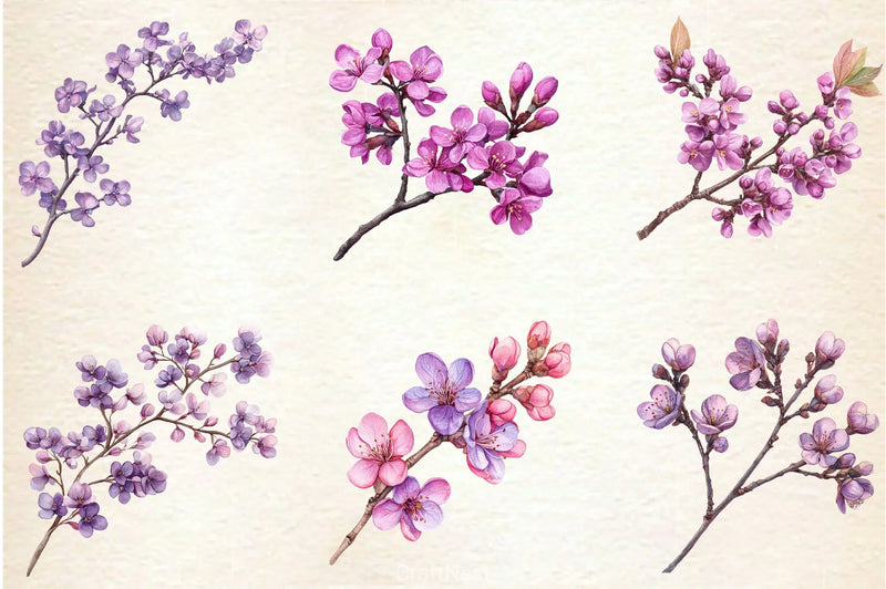 Spring Redbud Flower Clipart Bundle 2 - CraftNest - Digital Crafting and Art