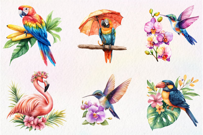 Tropical Bird Jungle Bird Clipart Bundle 1 - CraftNest - Digital Crafting and Art