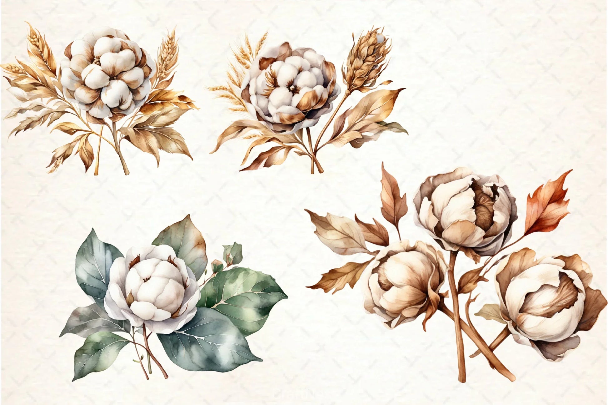 Cotton Flower Clipart Bundle 2 - CraftNest - Digital Crafting and Art