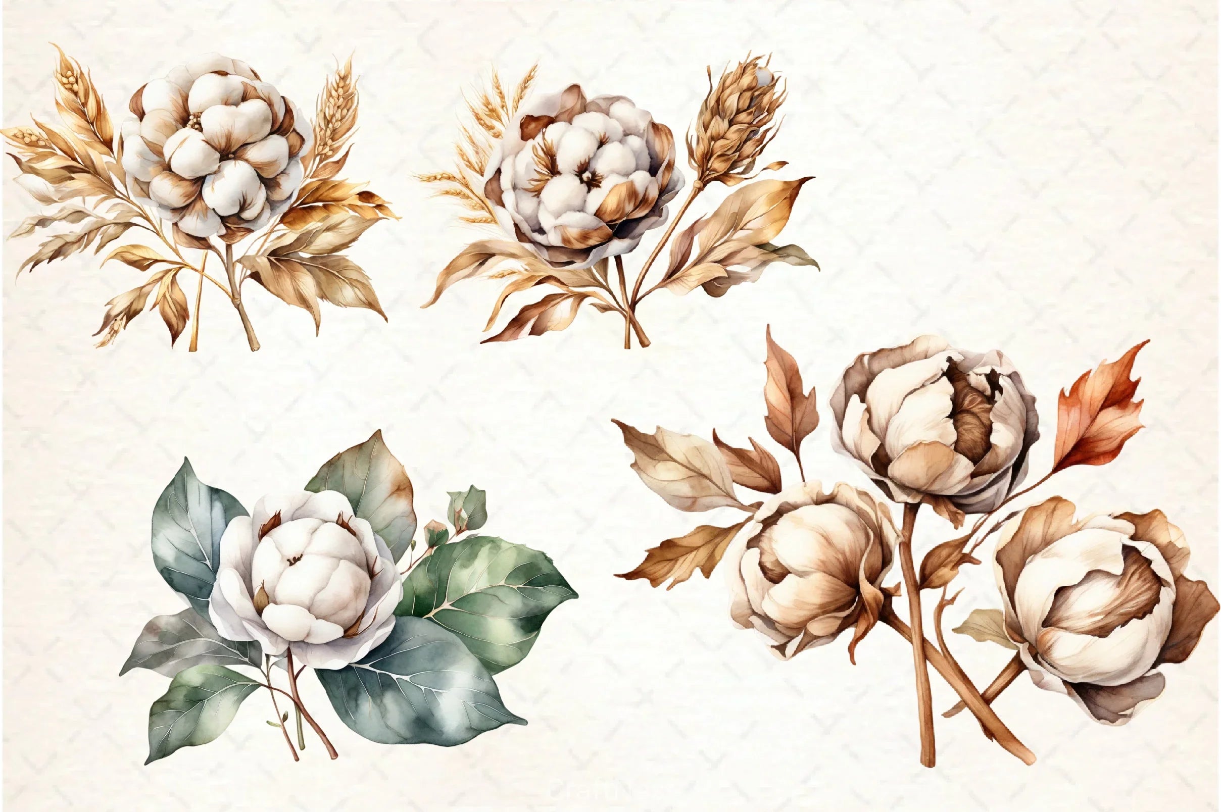 Cotton Flower Clipart Bundle 2 - CraftNest - Digital Crafting and Art