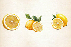 Mediterranean Lemon Botanical Clipart Bundle 4 - CraftNest - Digital Crafting and Art
