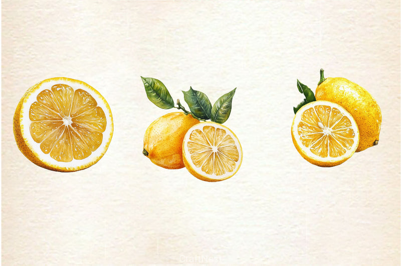 Mediterranean Lemon Botanical Clipart Bundle 4 - CraftNest - Digital Crafting and Art