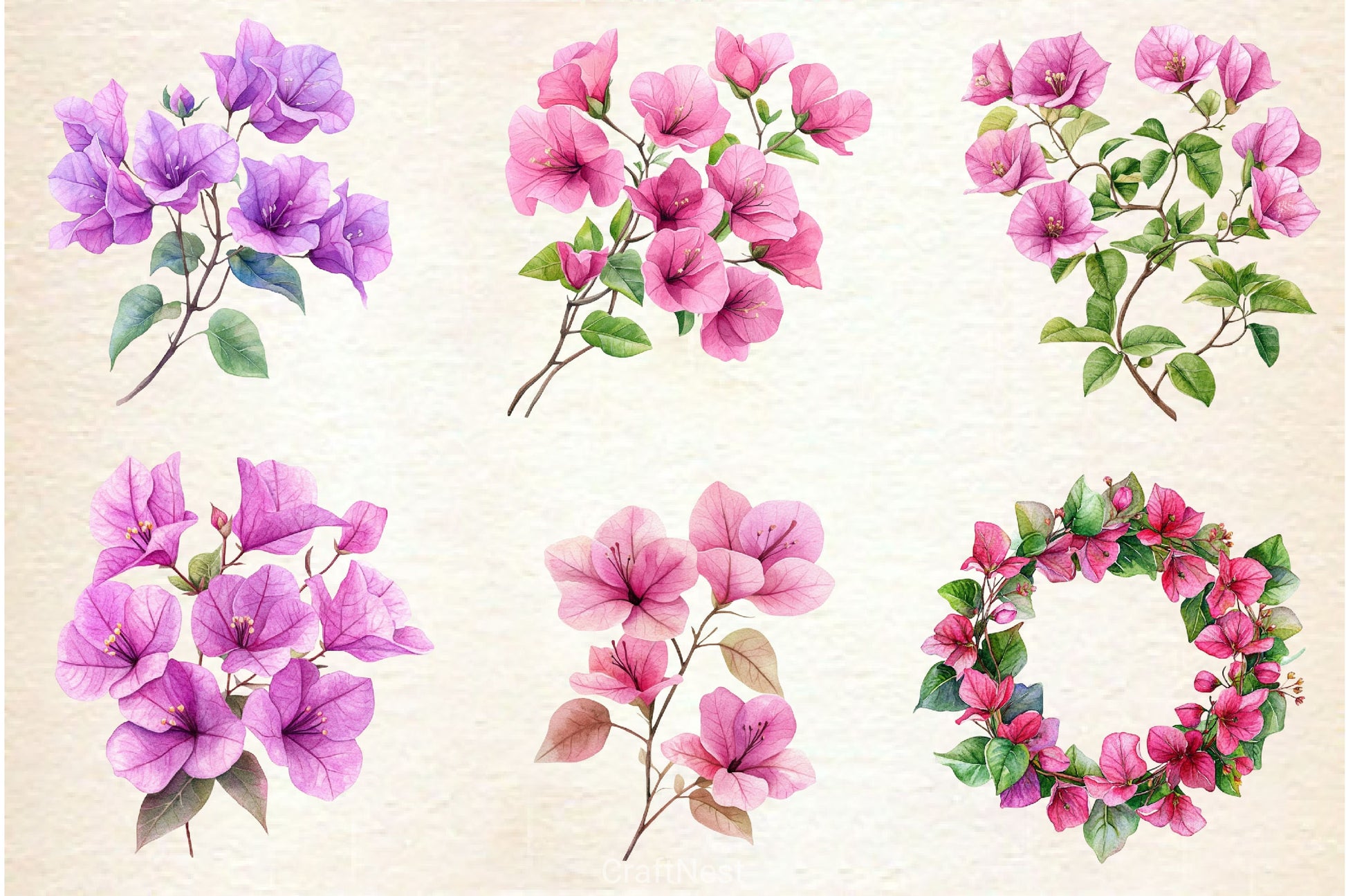 Bougainvillea Flower Clipart Bundle 4 - CraftNest - Digital Crafting and Art