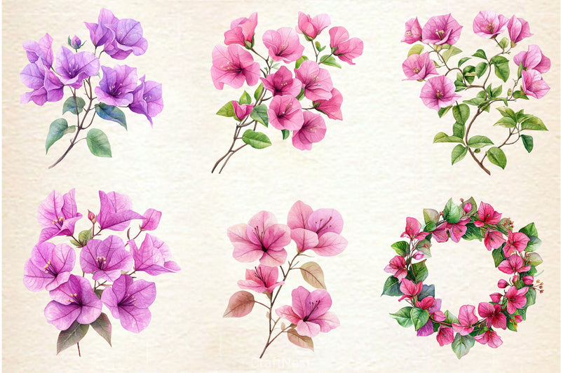 Bougainvillea Flower Clipart Bundle 4 - CraftNest - Digital Crafting and Art