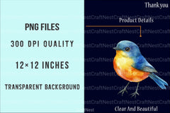 Whimsical Bird Clipart Bundle - CraftNest - Digital Crafting and Art