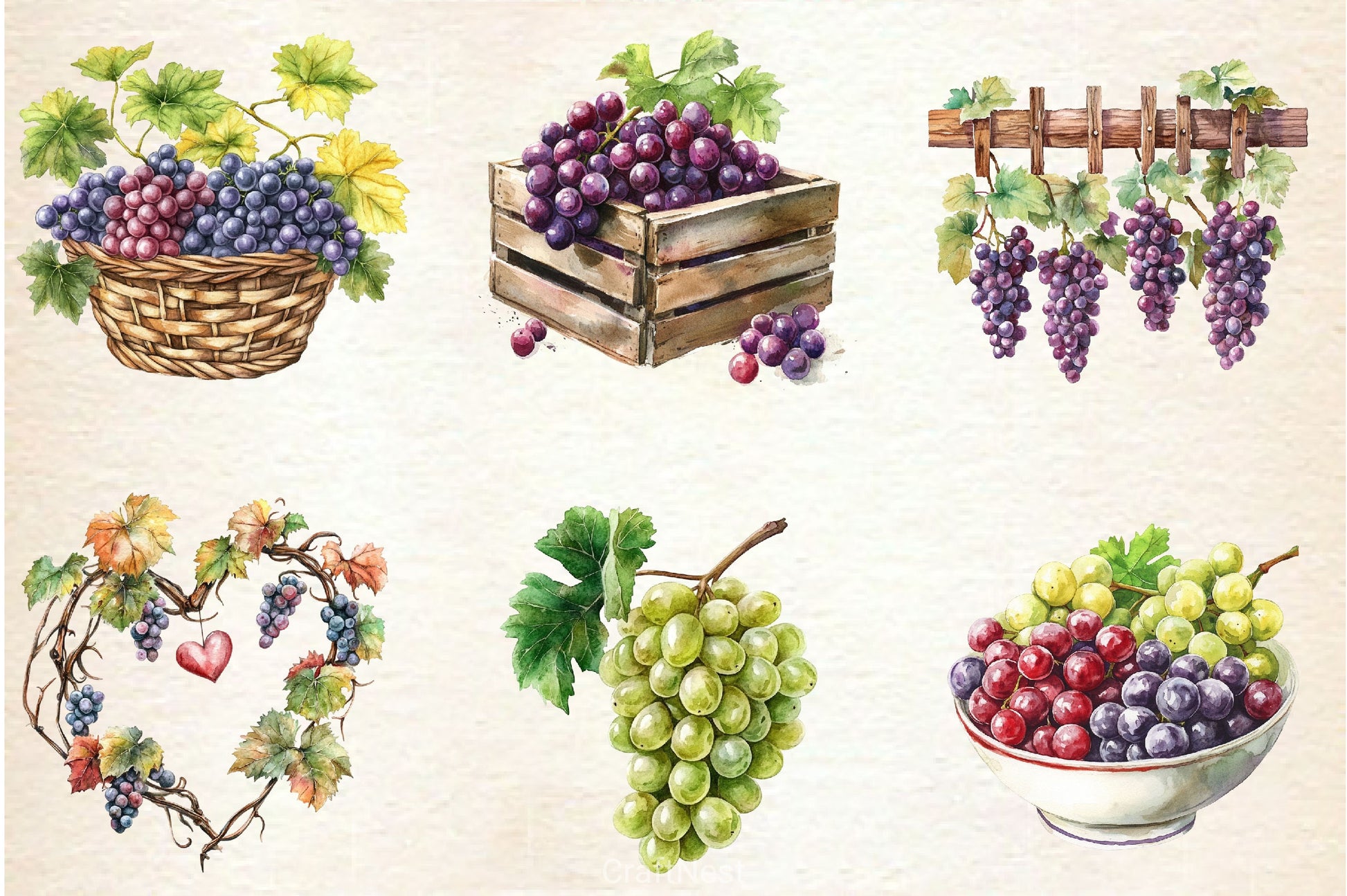 Grape Clipart Bundle 2 - CraftNest - Digital Crafting and Art