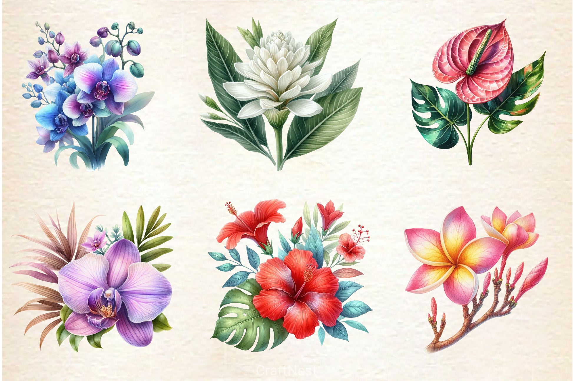Hawaiian Flowers Clipart Bundle - CraftNest - Digital Crafting and Art